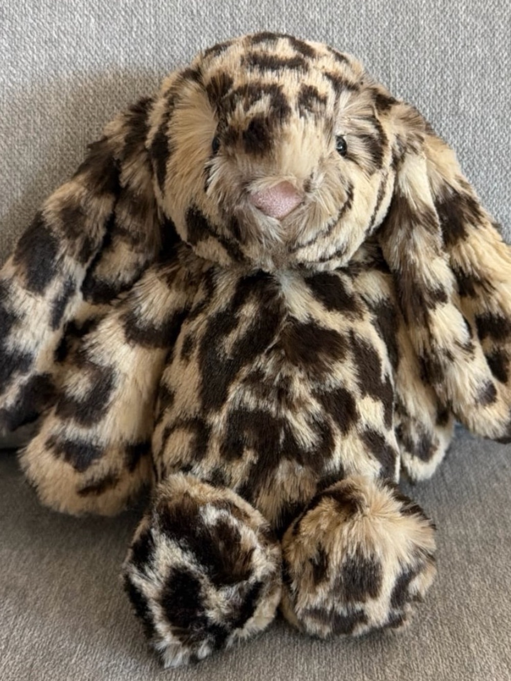 Special Edition Bashful Dixie Bunny NO TAGS